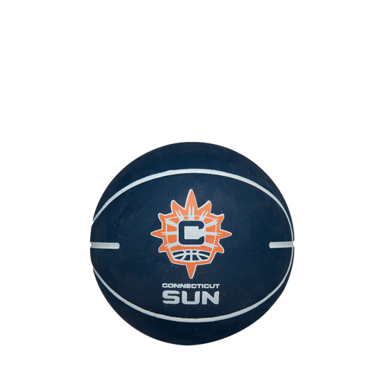 CT Sun Wilson Mini Dribbler Ball